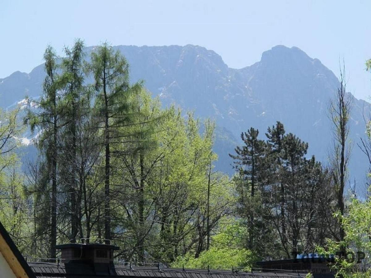 Tatrytop Apartamenty Kaszelewski Zakopane Exterior foto